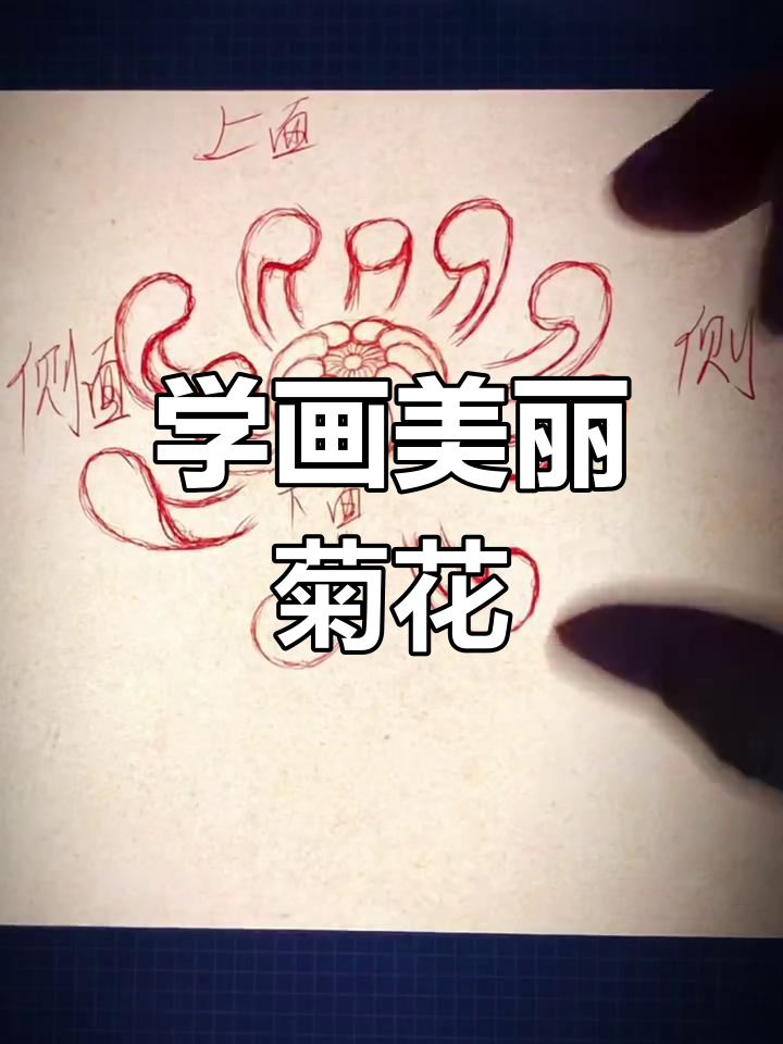 菊花纹身画法全解析:从花瓣到整体结构