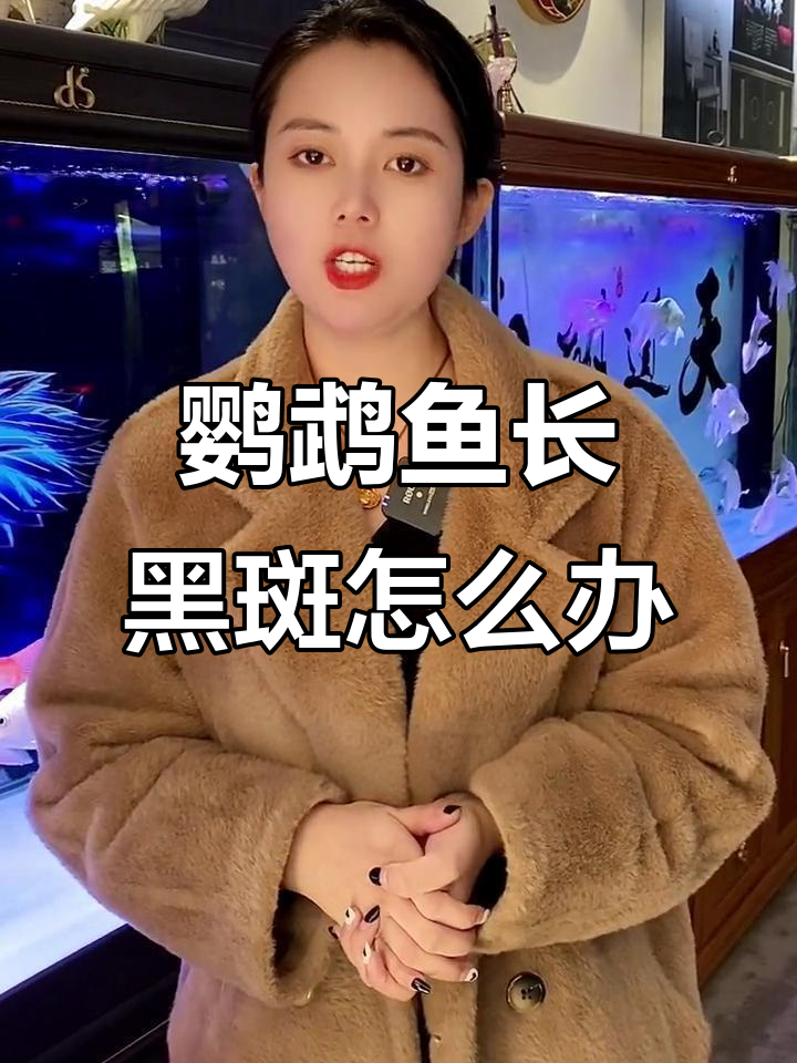 鹦鹉鱼身上黑斑的原因及应对方法