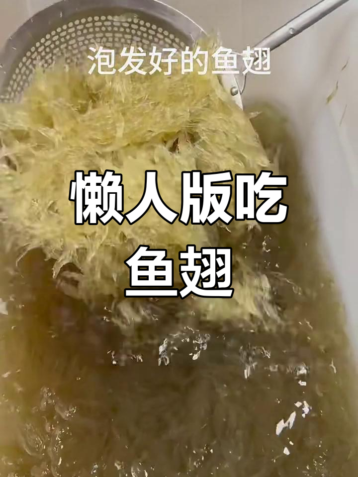 懒人必备!轻松做鱼翅,零厨艺也能搞定