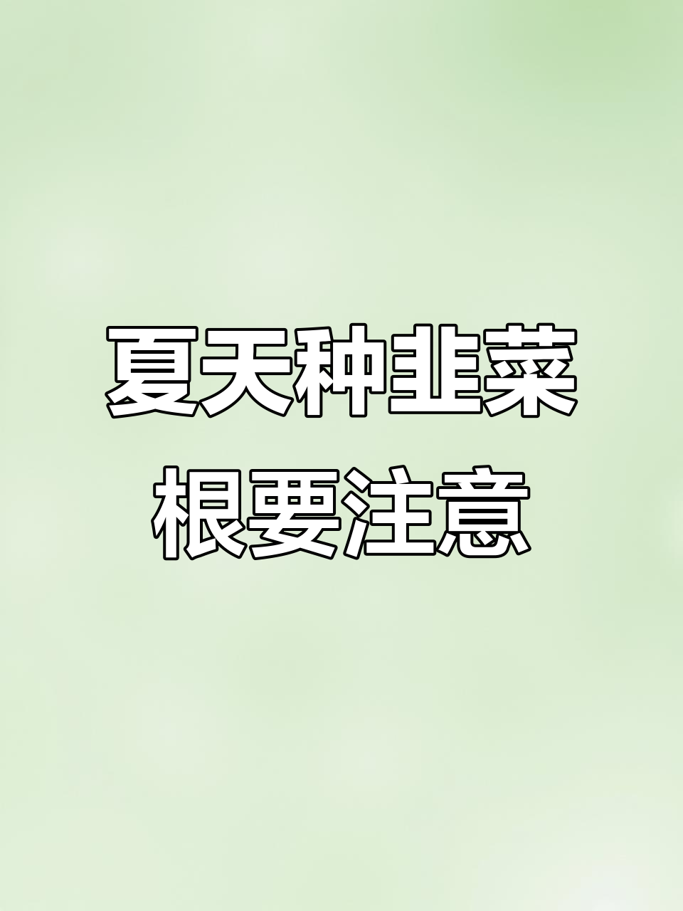 夏季韭菜根种植技巧与注意事项，避免根瘤问题