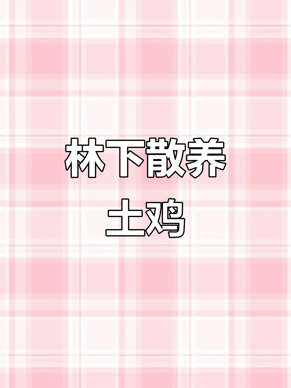 散养土鸡,林下生态养殖,东北大公鸡味道鲜美