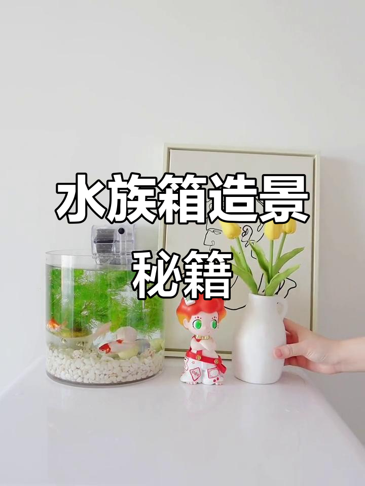 沉浸式鱼缸布景,教你一步步打造水族箱美景!