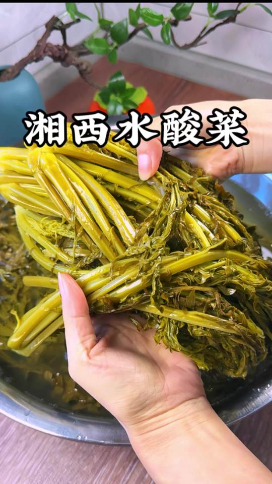 简单易学的湘西水酸菜做法，你也快去试试
