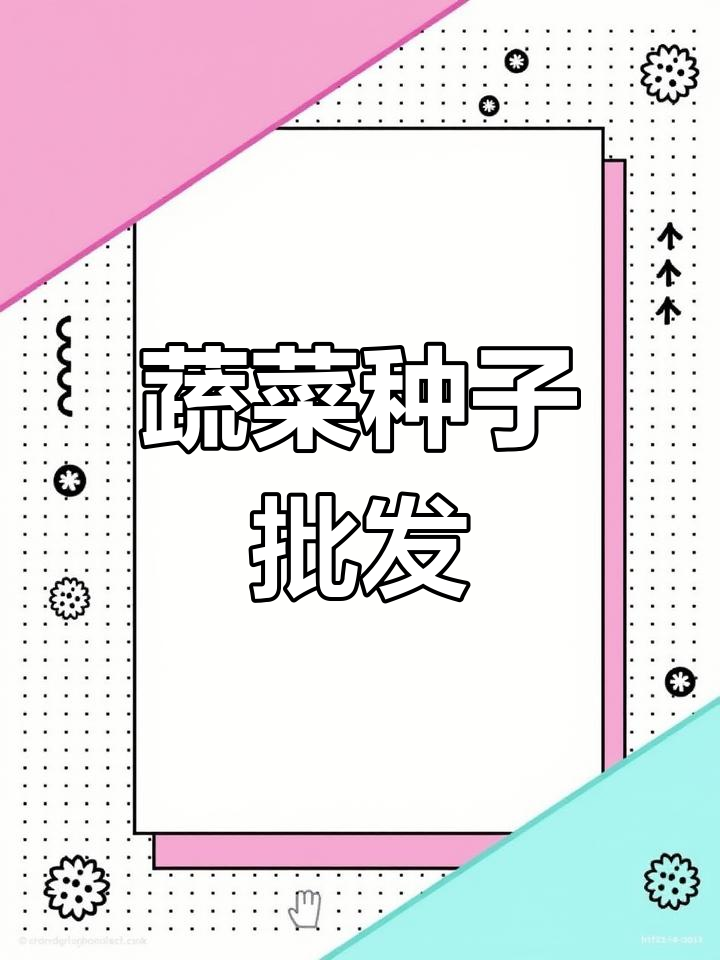 顺领农业:优质种子批发,助力菜园种植