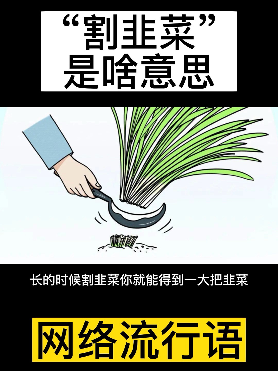 割韭菜是啥意思?