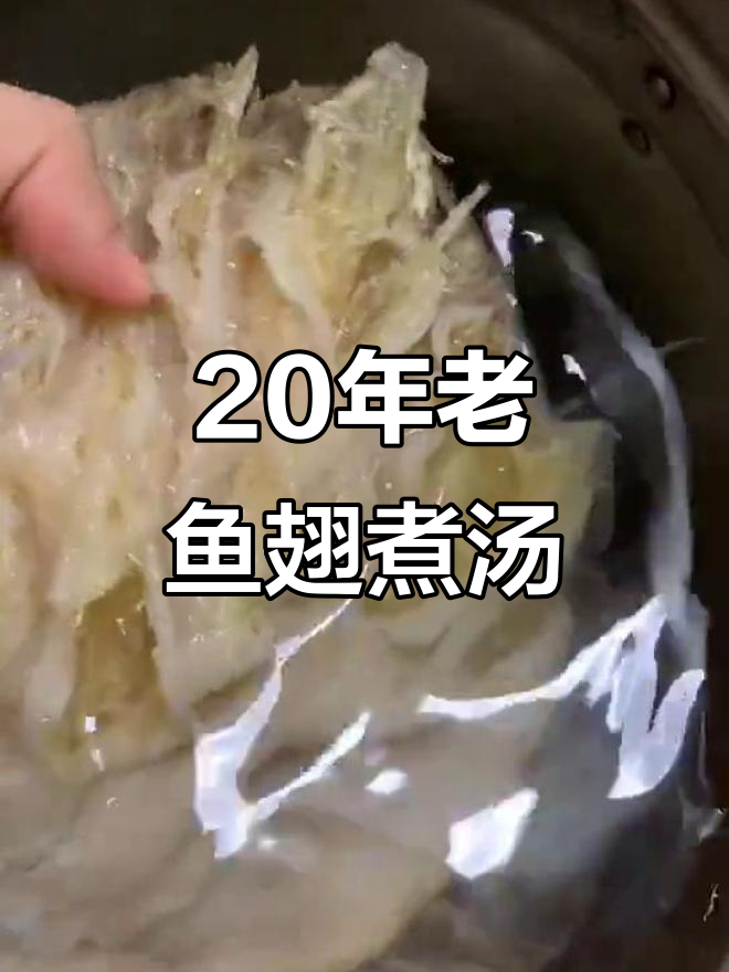 20年未漂白的鱼翅,熬汤7小时竟变这样