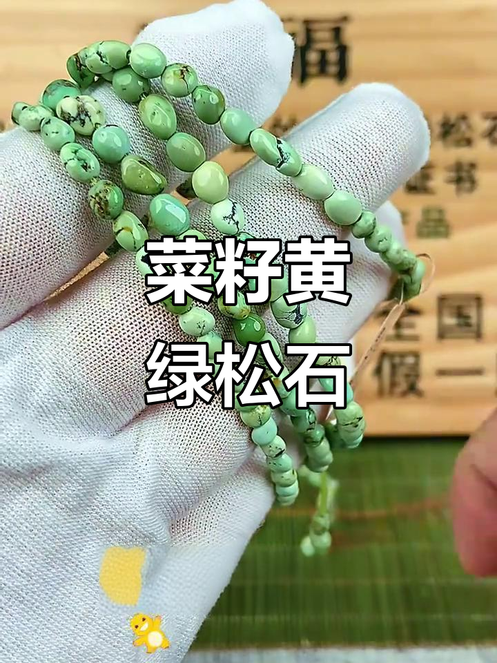 菜籽黄绿松石：春天的色彩，网花之美让人惊艳