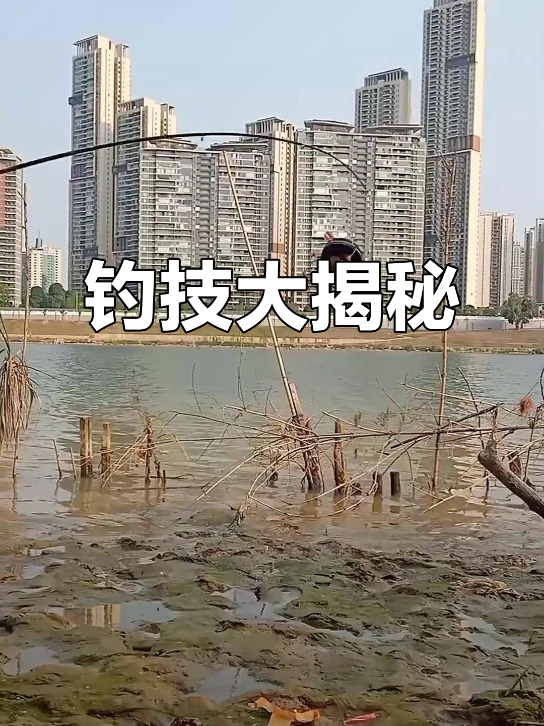 轻松掌握鸡肠钓鱼技巧,赤眼红眼一网打尽!