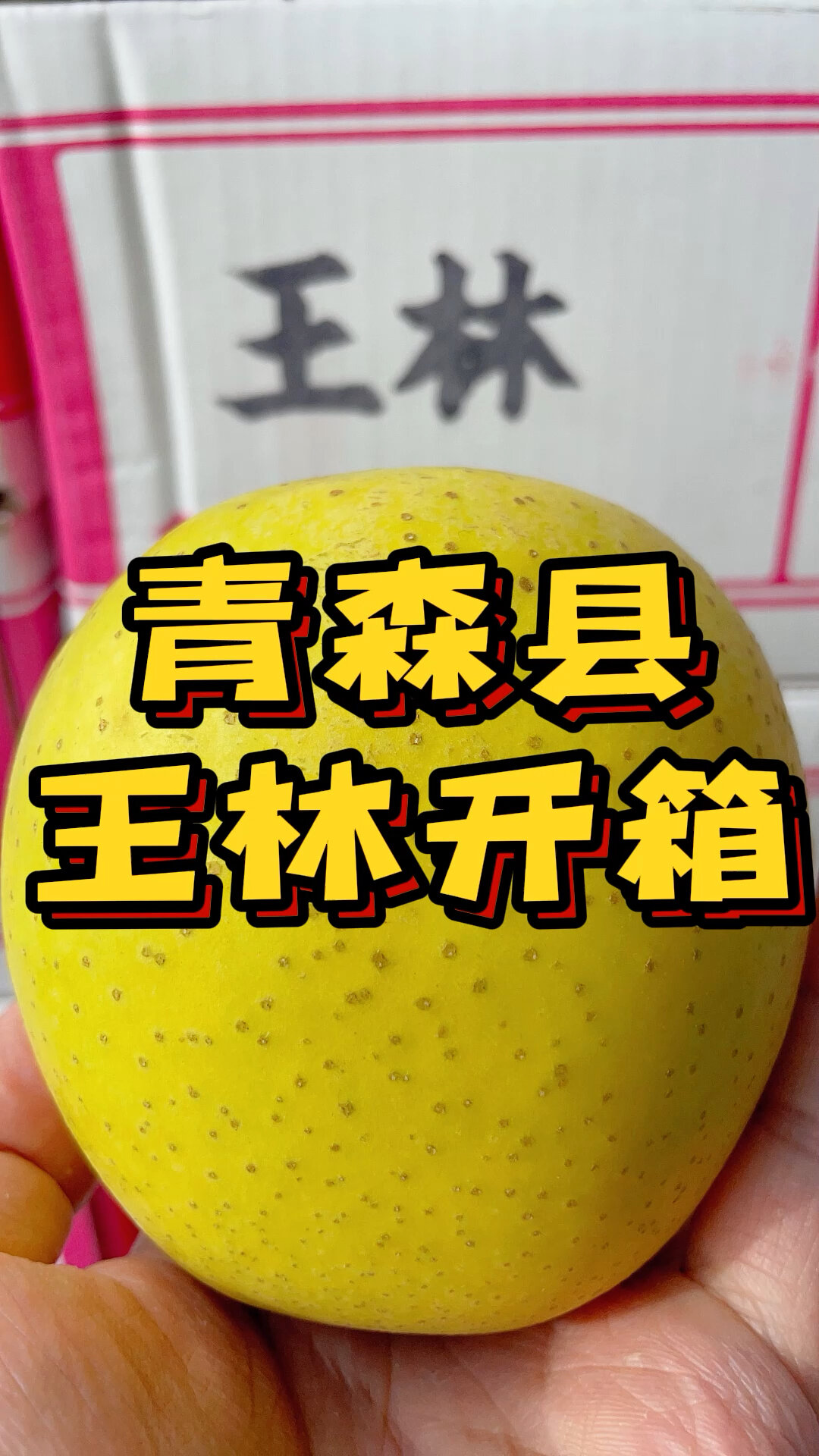 世界十大奢侈水果之一:青森县王林苹果