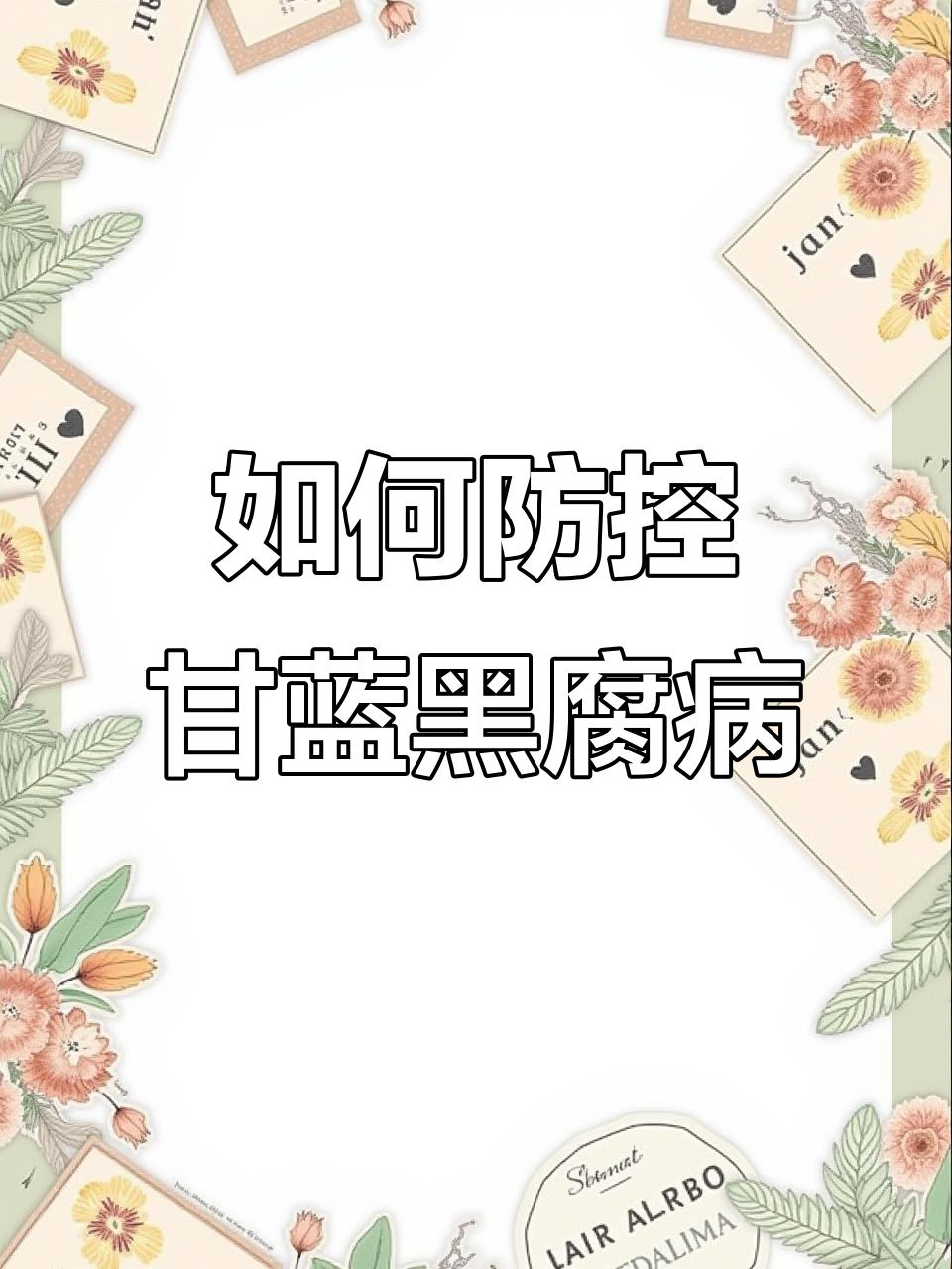 甘蓝黑腐病防治秘诀:选对品种,事半功倍