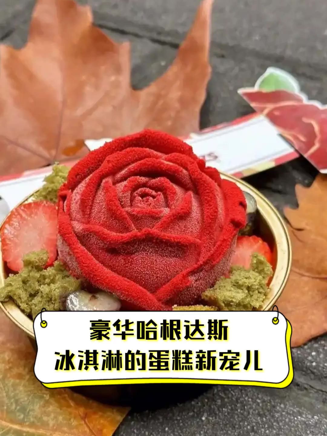 豪华哈根达斯,冰淇淋的蛋糕新宠儿
