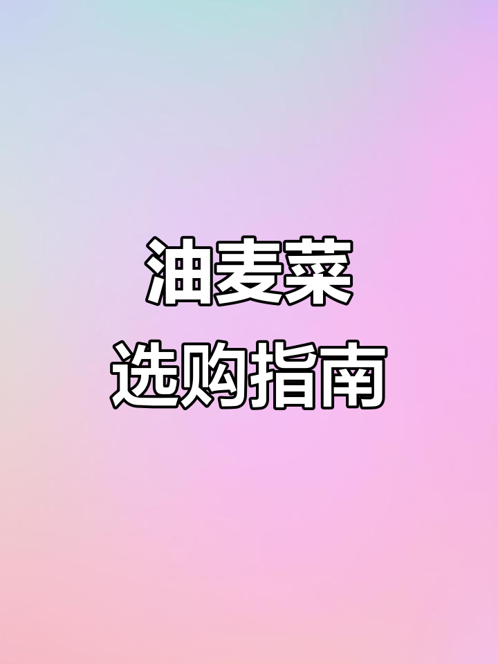 选购油麦菜时,注意挑选细杆短根的品种,避免买到假货