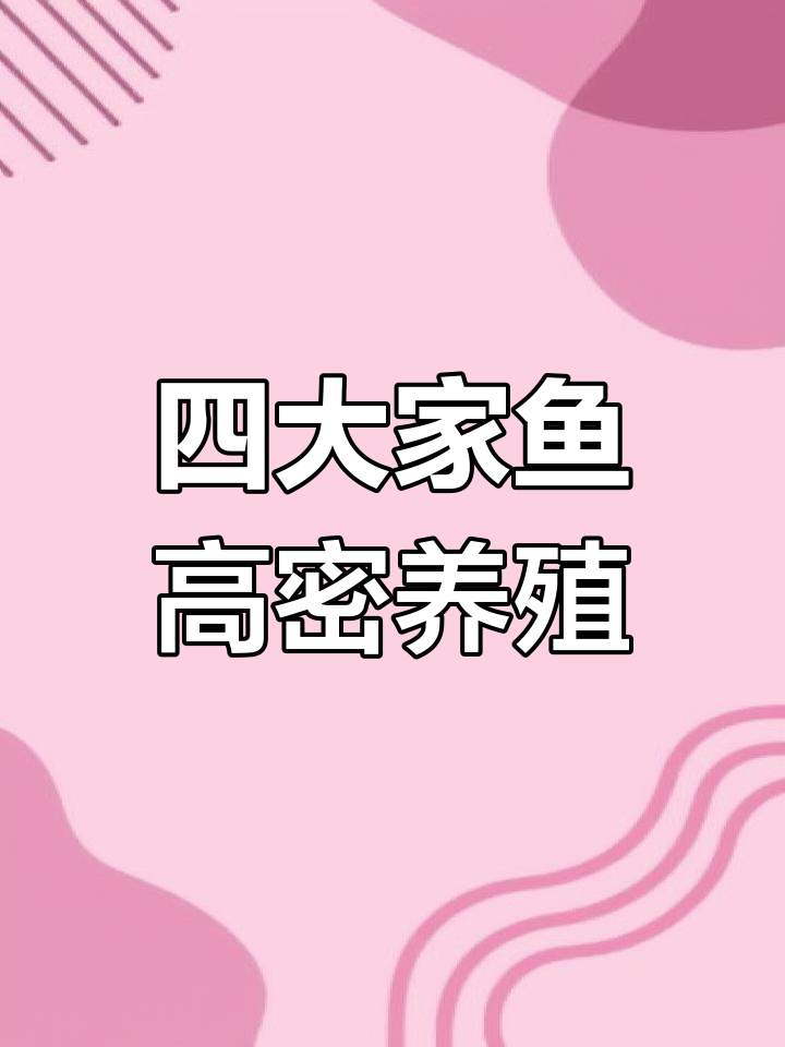 高密度四大家鱼混养模式,亩产突破1万斤