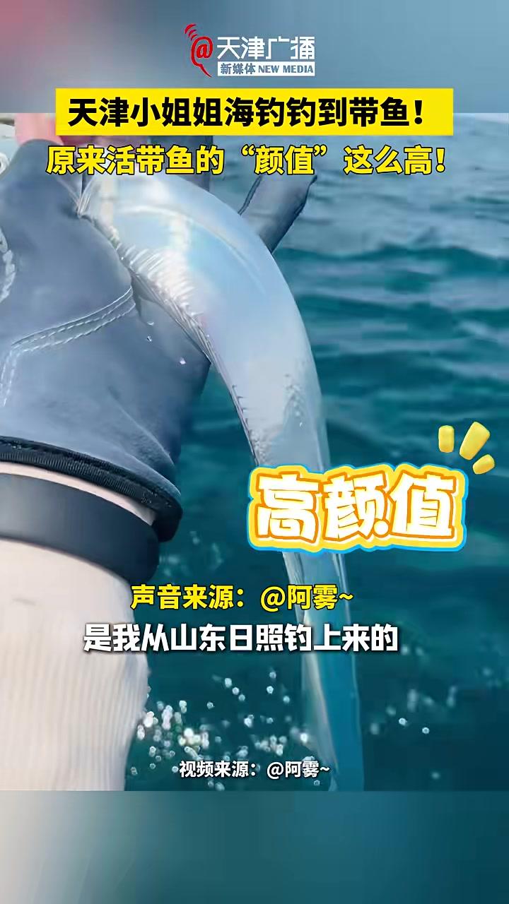 天津小姐姐海钓钓到带鱼！原来活带鱼的颜值这么高！海钓 带鱼