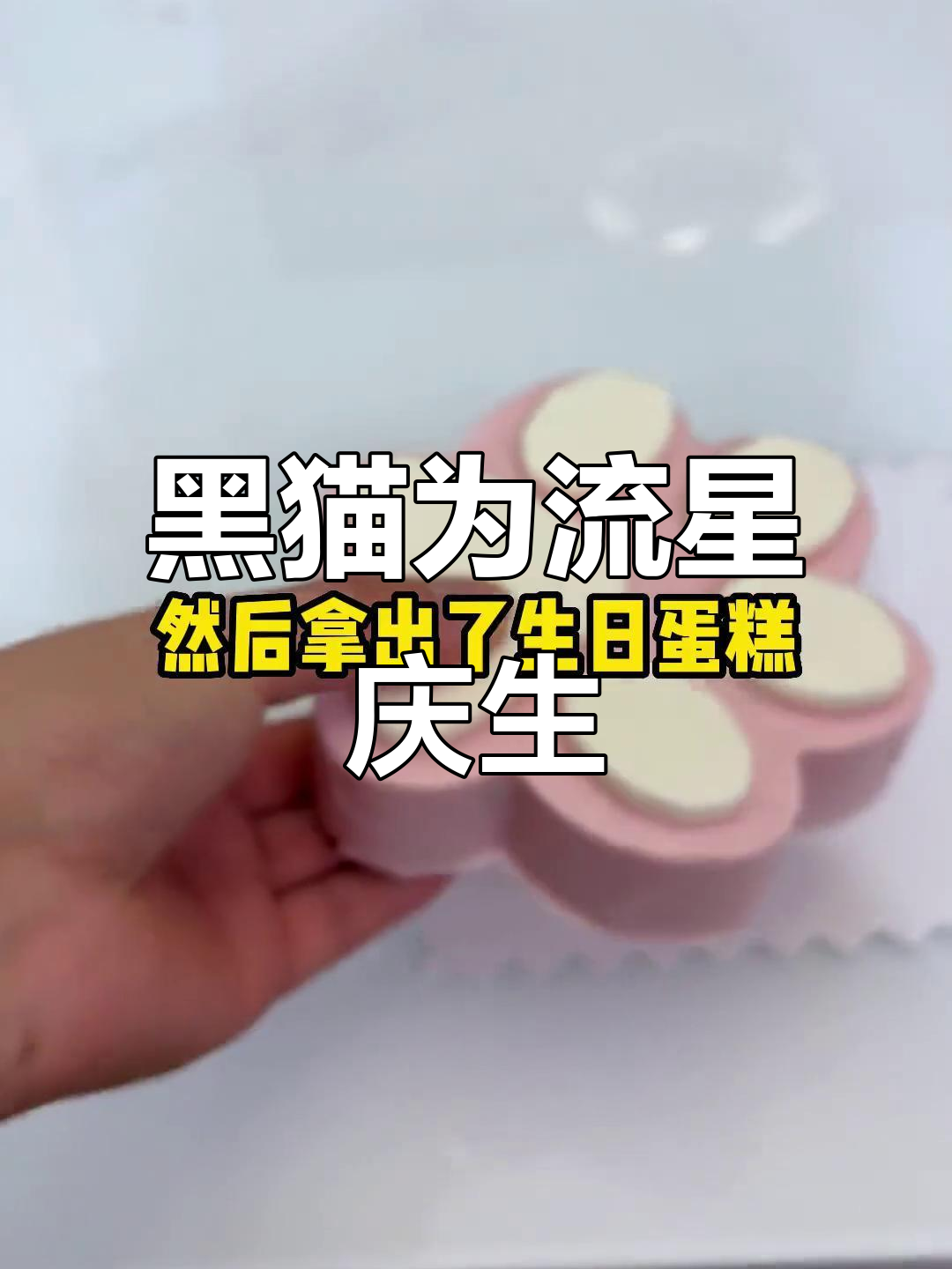 流星一岁生日快乐，黑猫惊喜送上生日蛋糕