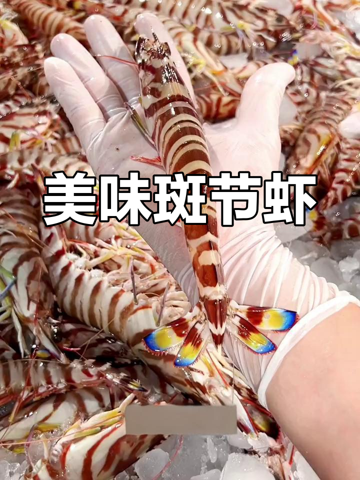 年底聚餐,斑节虾鲜美十足,大人小孩都抢着吃!