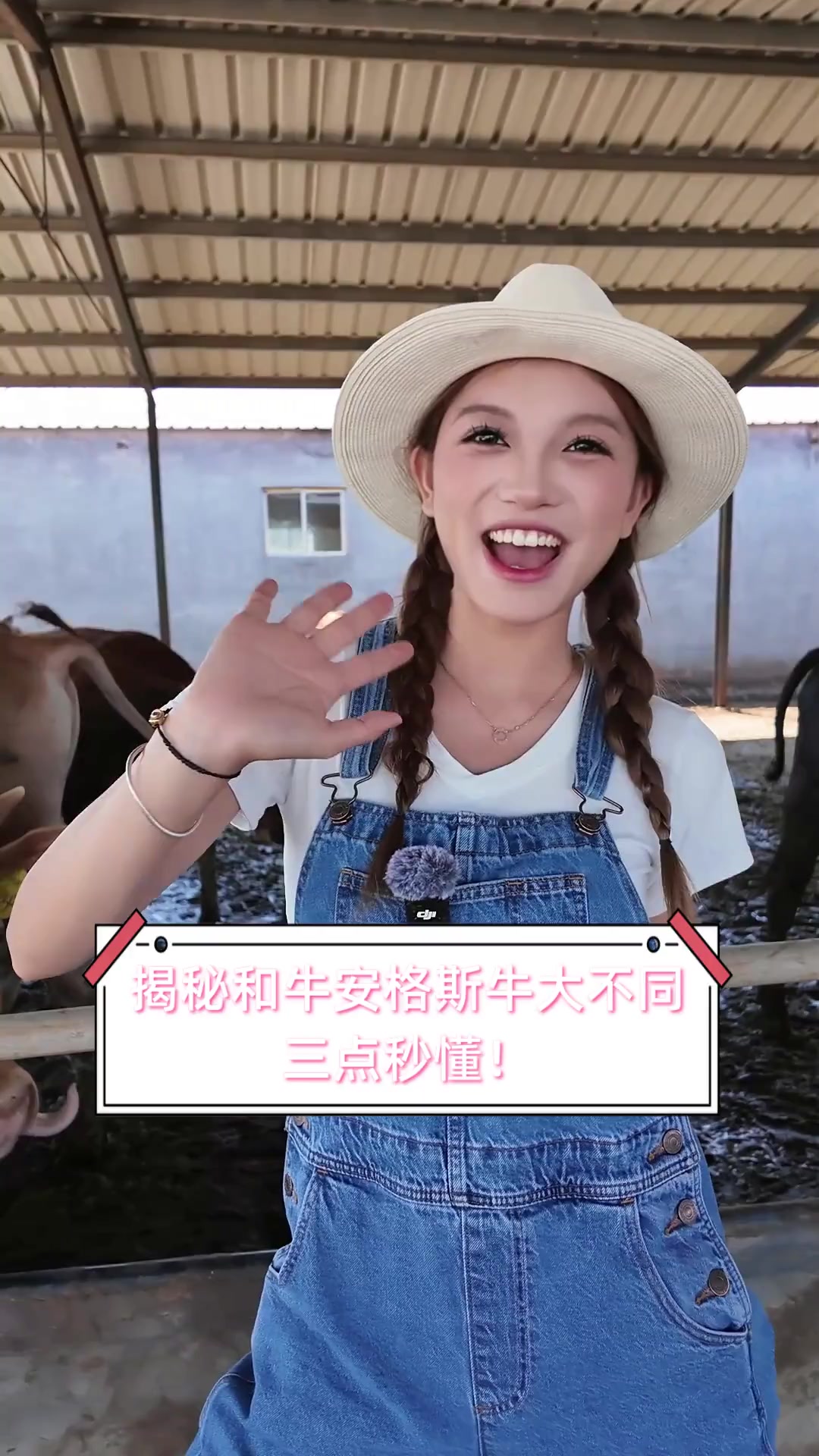 揭秘和牛安格斯牛大不同,三点秒懂!
