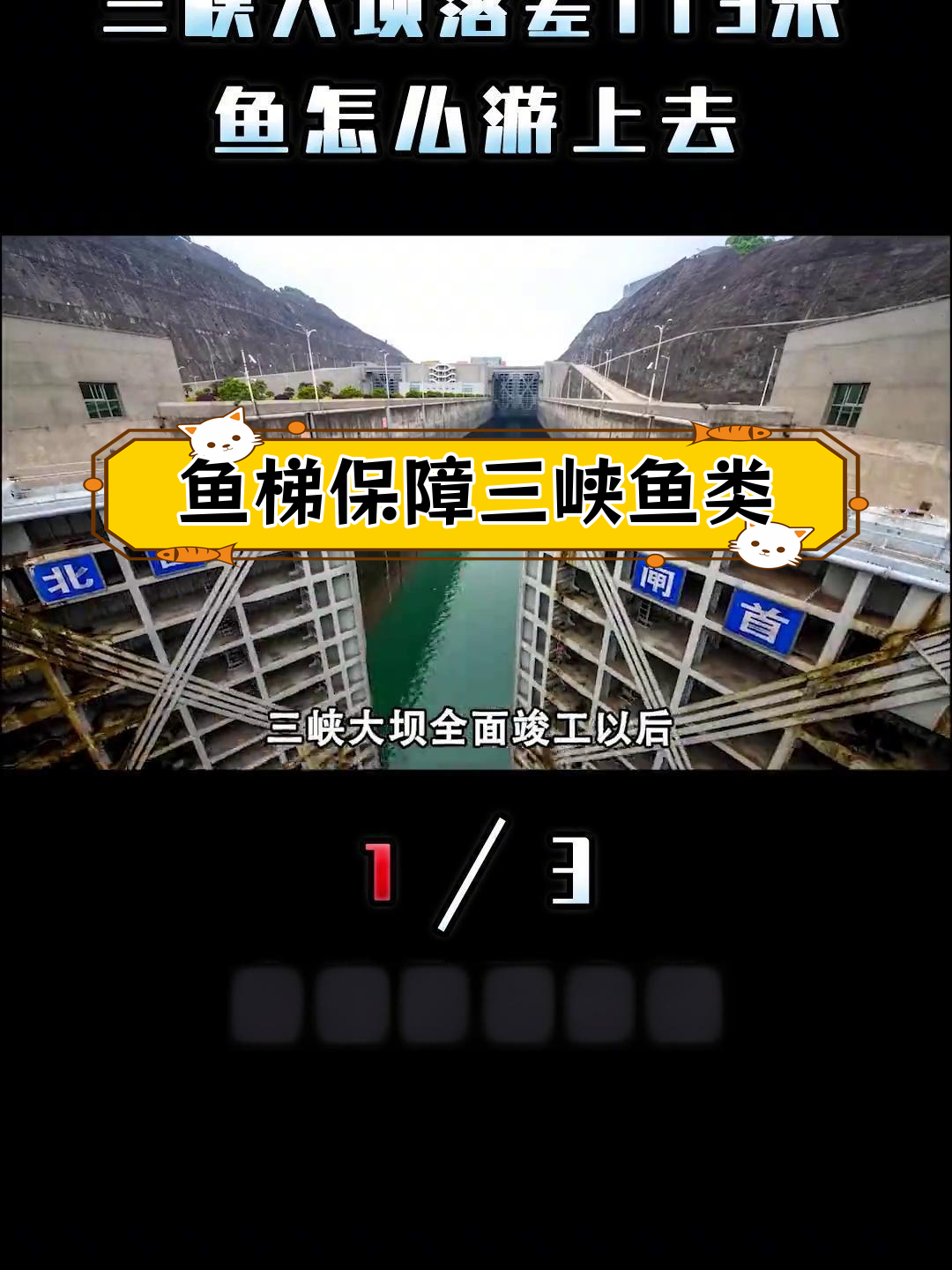 三峡大坝如何保护鱼类洄游?