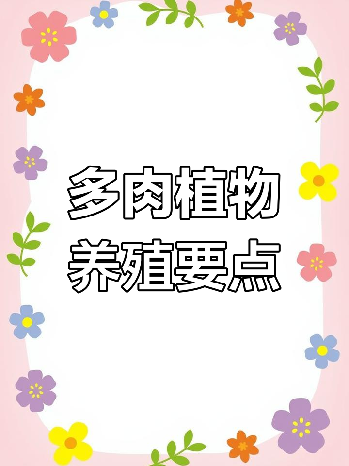 口红多肉养护全攻略:光照、浇水与修剪技巧