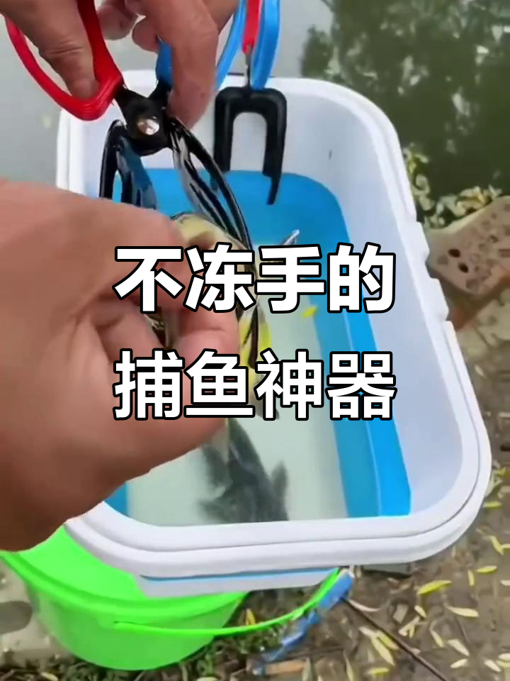 冬季钓鱼必备！这款夹鱼器让你轻松抓到大阪鲫，不伤手也不脏身