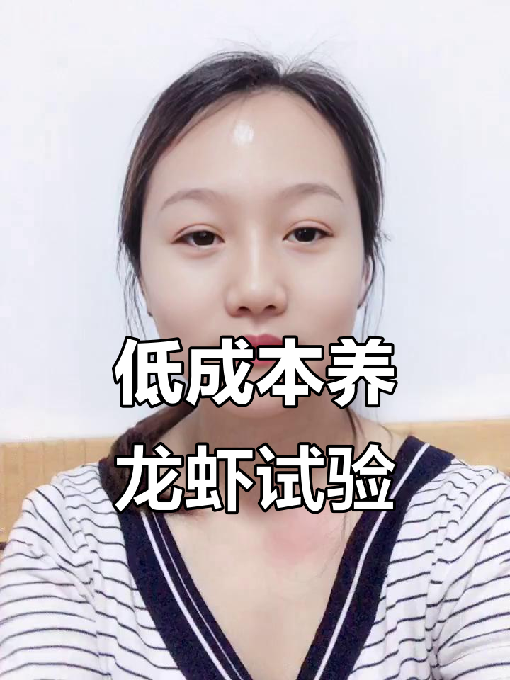 信阳农民尝试低成本小龙虾养殖,首次成功突破传统模式