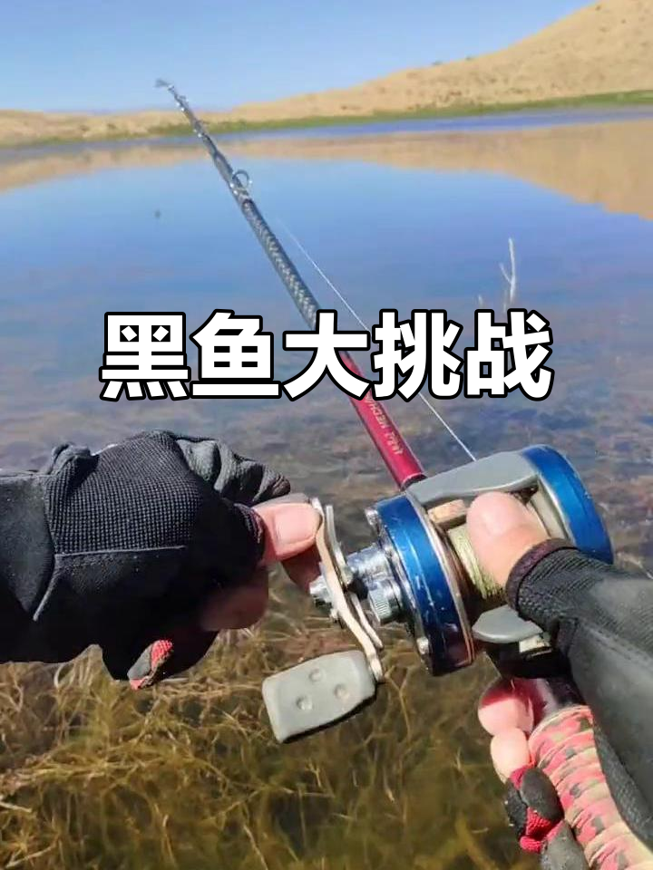两天抓4条黑鱼,最大的一条竟然有3公斤!最后结果让人惊讶