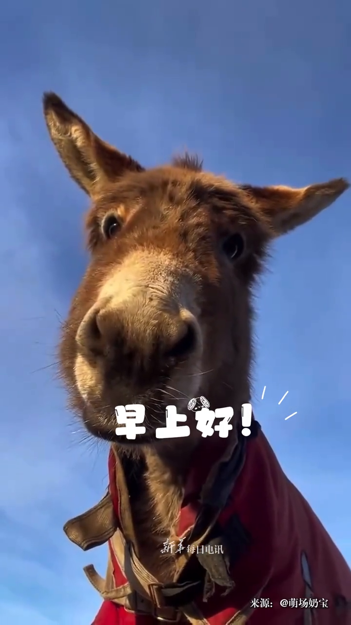 早上好!我的朋友,该起床了!记得吃早饭,今天也要加油哟!