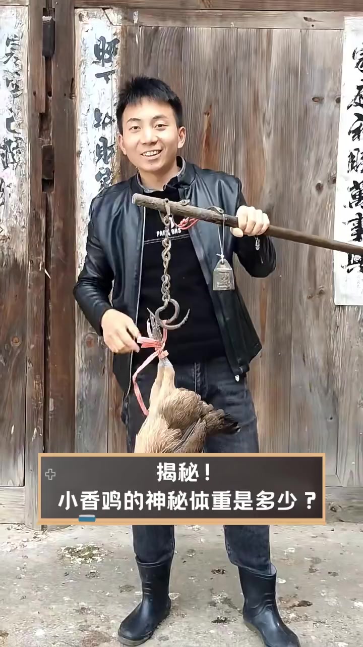 揭秘!小香鸡的神秘体重是多少?