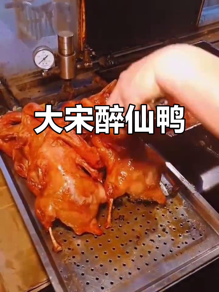 宋代秘方传承,大宋醉仙鸭品带你领略文化与美食的完美结合