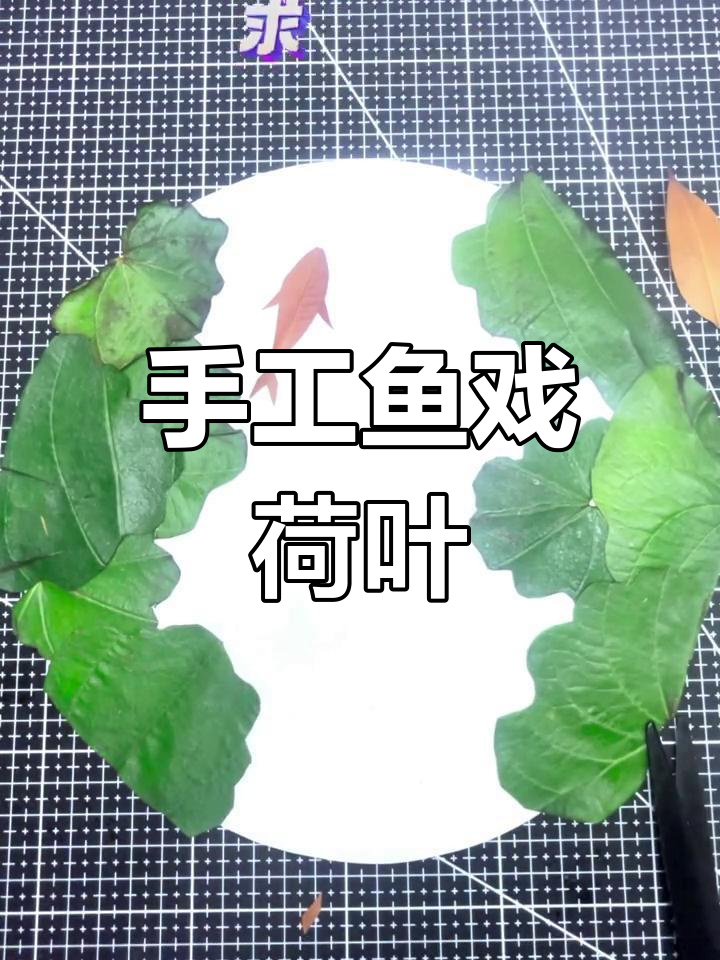 用树叶做小鱼戏莲叶图