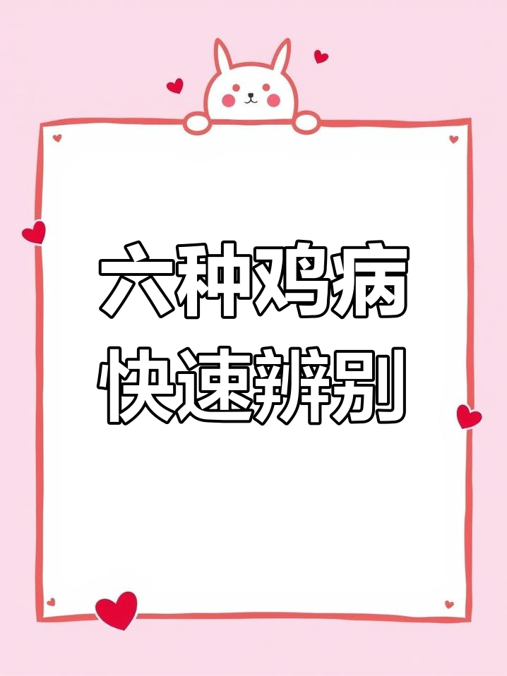 识别六种常见鸡病,掌握防治技巧