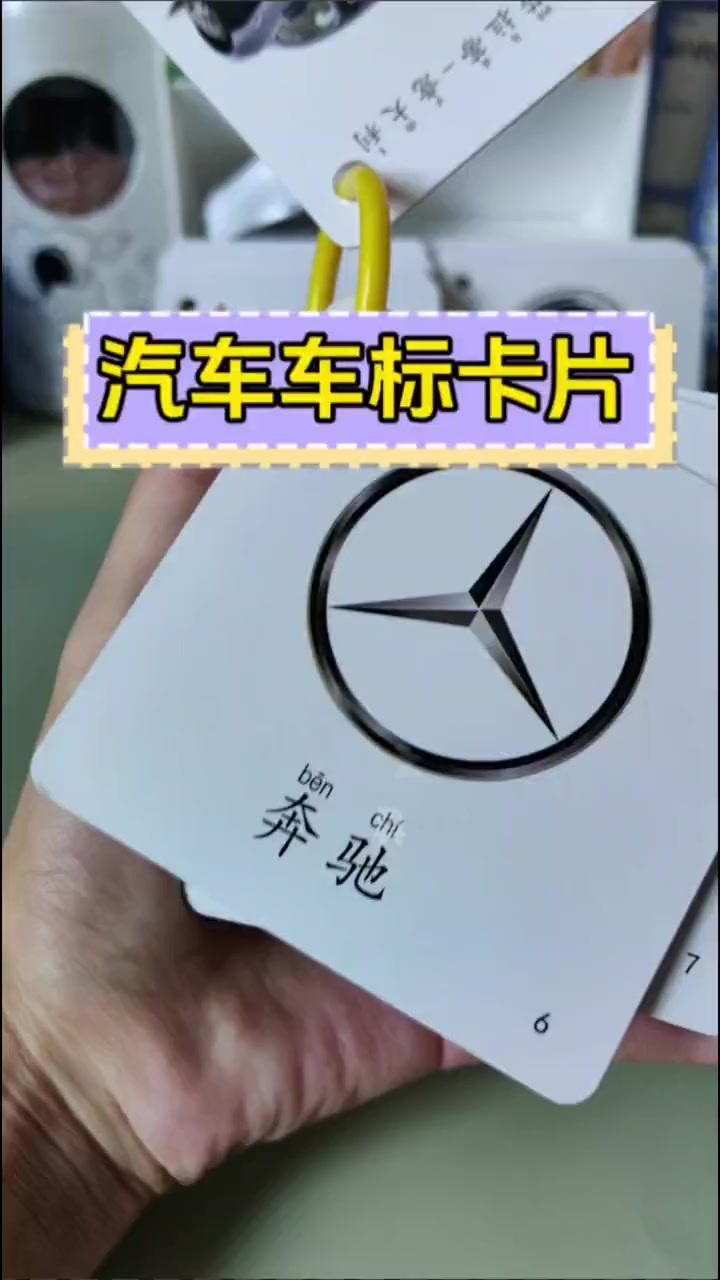 一起来认汽车标志吧 宝宝车辆认知 启蒙早
