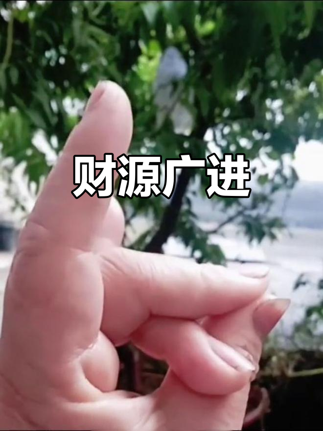 财富如梦,善行引来无尽好运,鸿运当头,财运滚滚