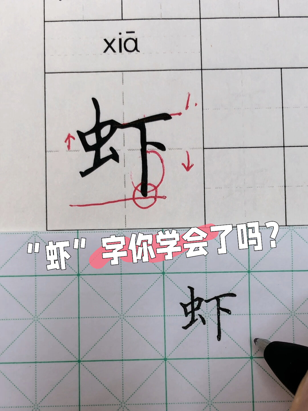 “虾”字你学会了吗?