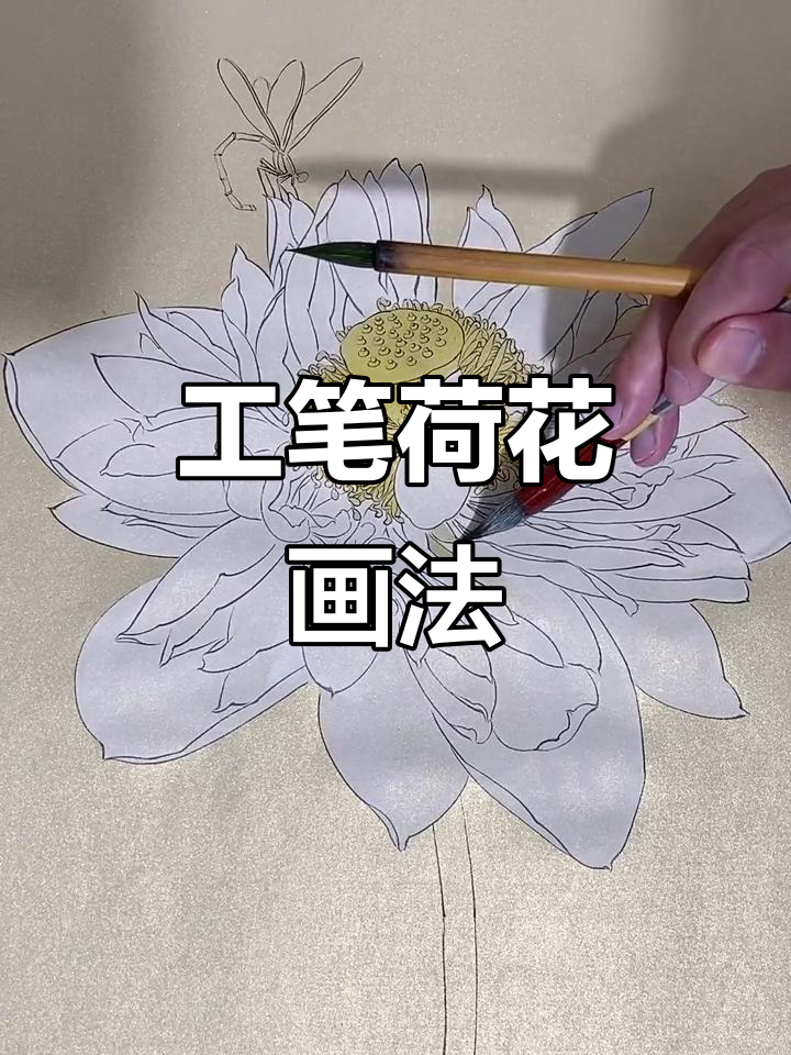荷花工笔画技巧全解析:从线条到色彩的完美演绎