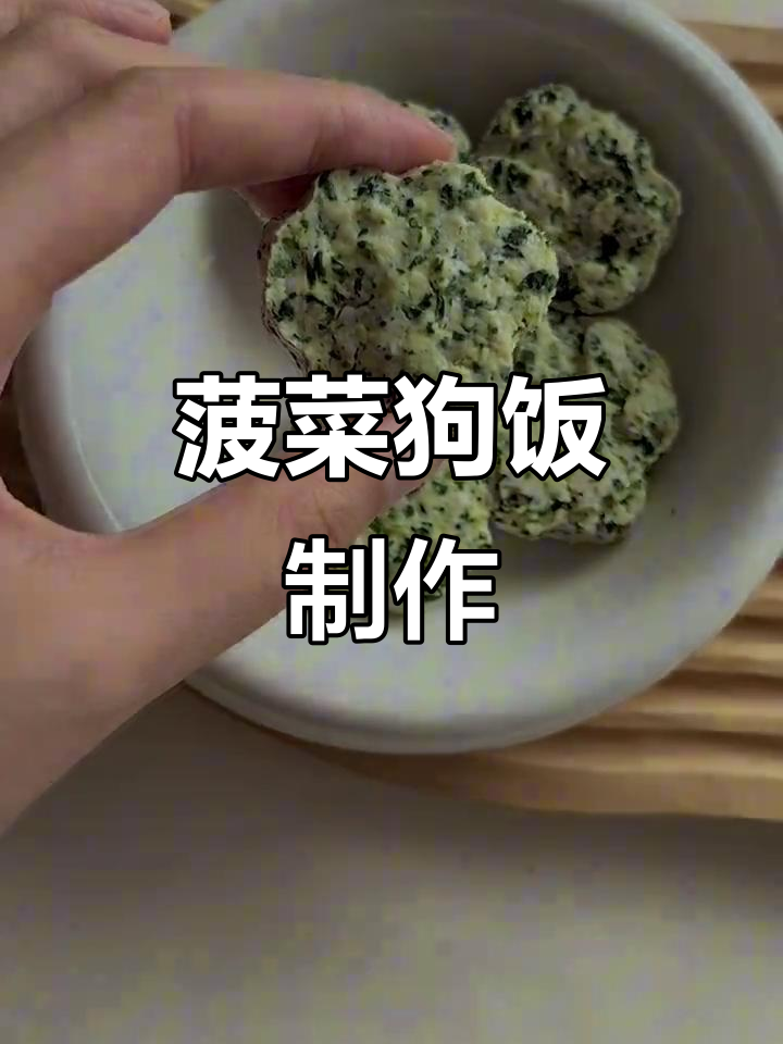 自制菠菜蛋糕,比熊狗狗的鲜美零食