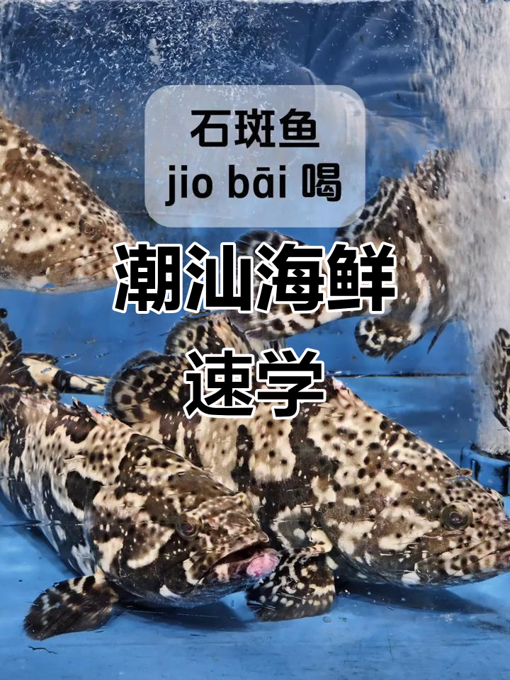 潮汕海鲜大揭秘,掌握“鱼虾蟹”轻松交流!