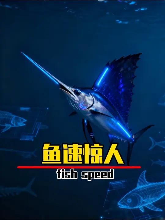 世界上速度最快的鱼