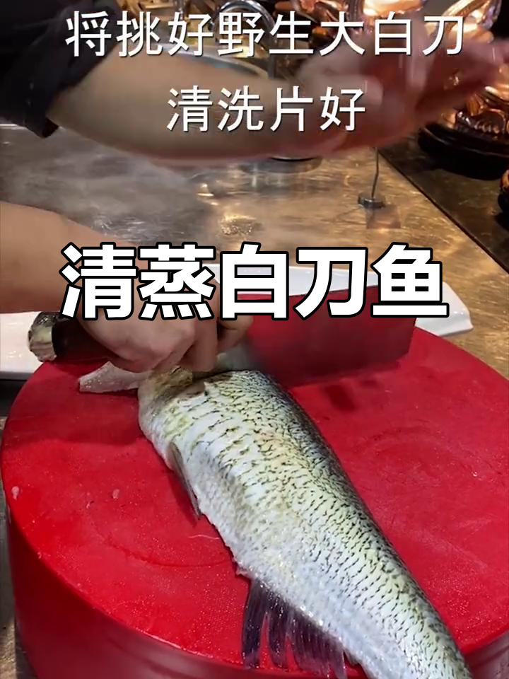 闽江野生大白刀鱼,清蒸美味鲜香
