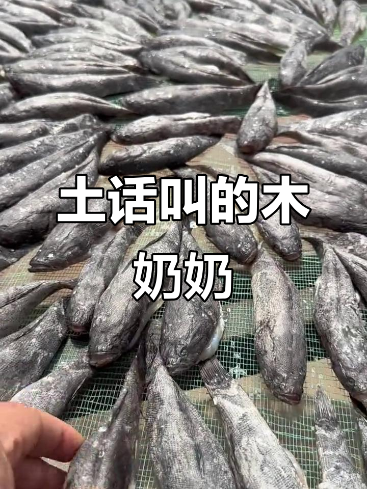 家乡特产木奶奶鱼,咸香十足让人怀念
