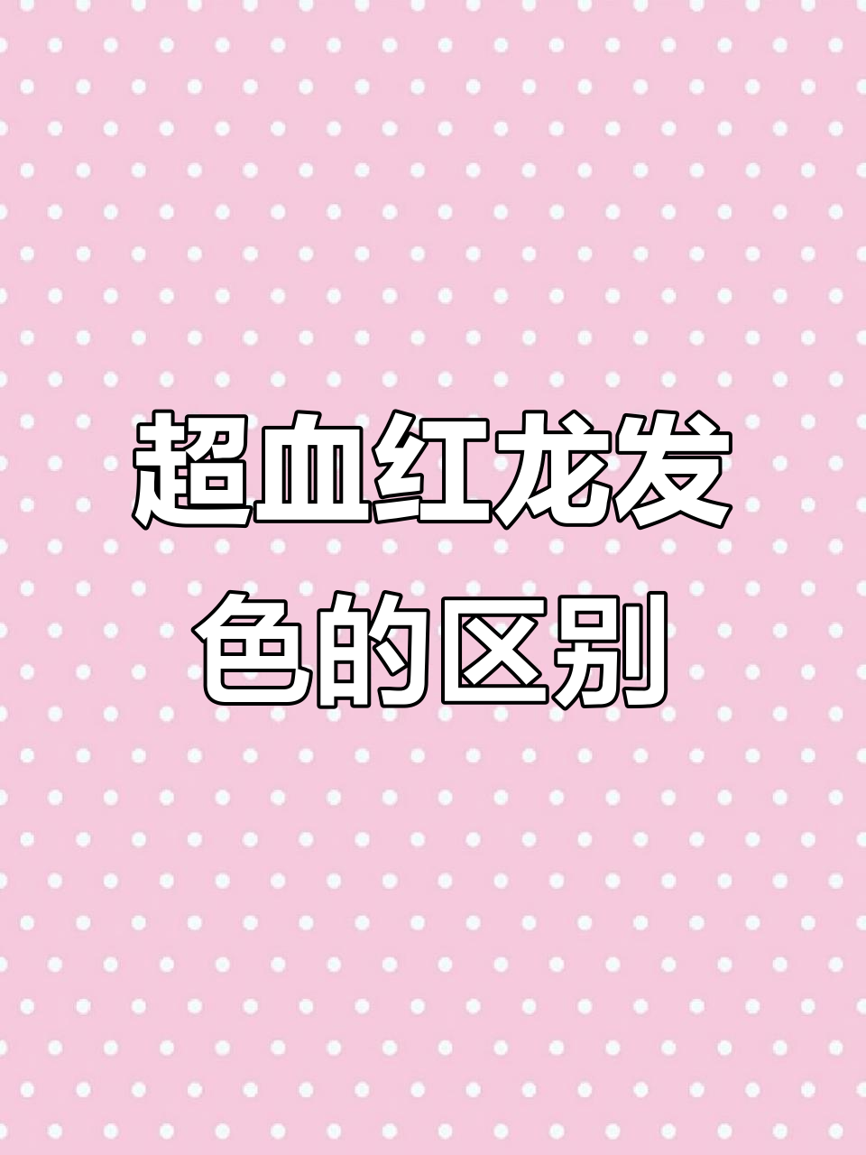 红龙发色差异揭秘：印尼超血红龙的秘密