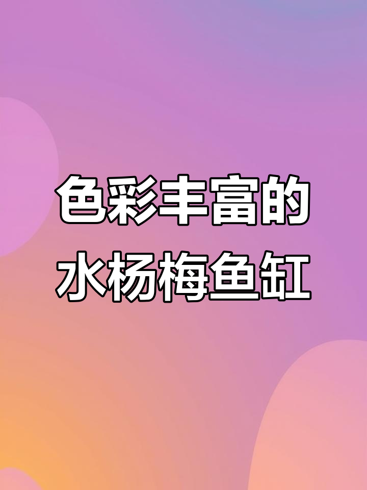 水杨梅鱼缸造景,溪流效果超赞!