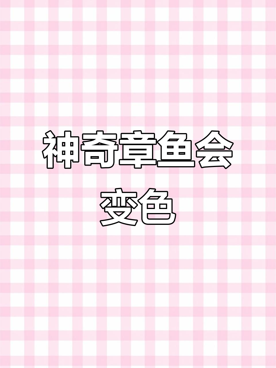 章鱼海底隐身术,变色能力惊人