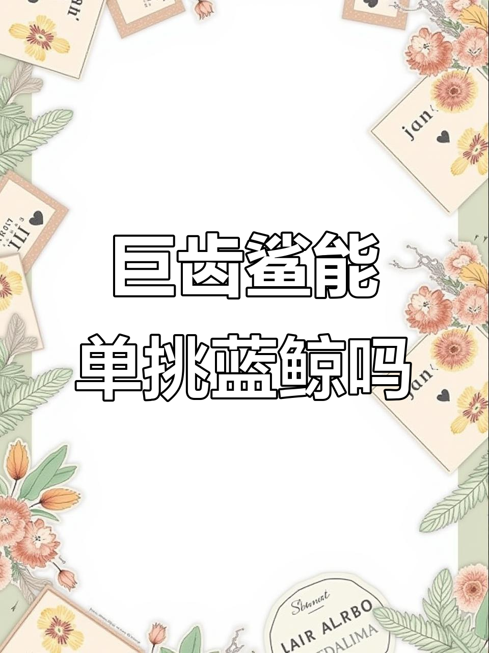 巨齿鲨的竞争对手:梅尔维尔鲸与远古抹香鲸