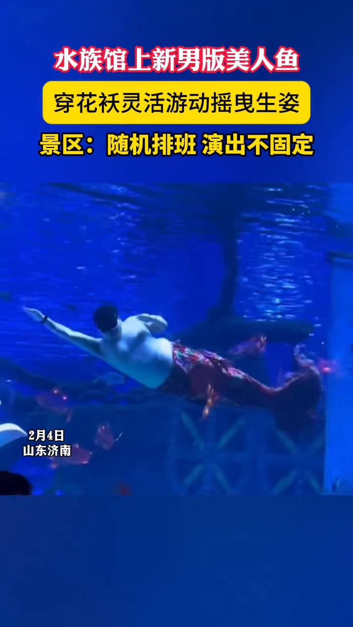 水族馆上新男版美人鱼,穿花袄灵活游动摇曳生姿,景区:随机排班