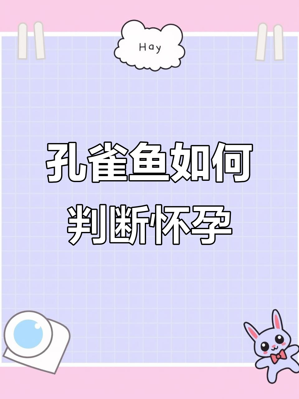 如何判断孔雀鱼母鱼是否怀孕？从臀鳍变化看孕期