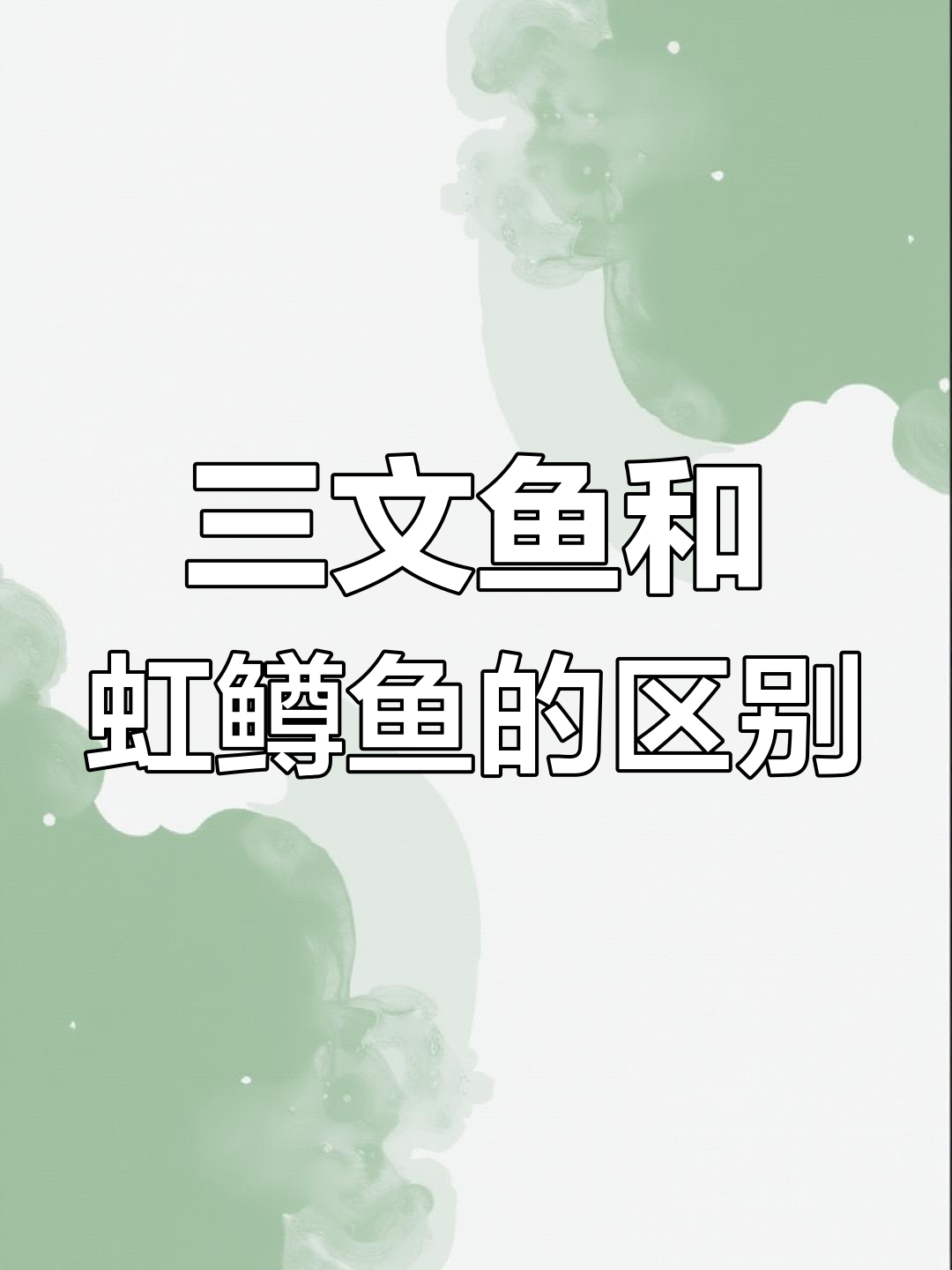 挪威三文鱼与虹鳟鱼的辨别技巧