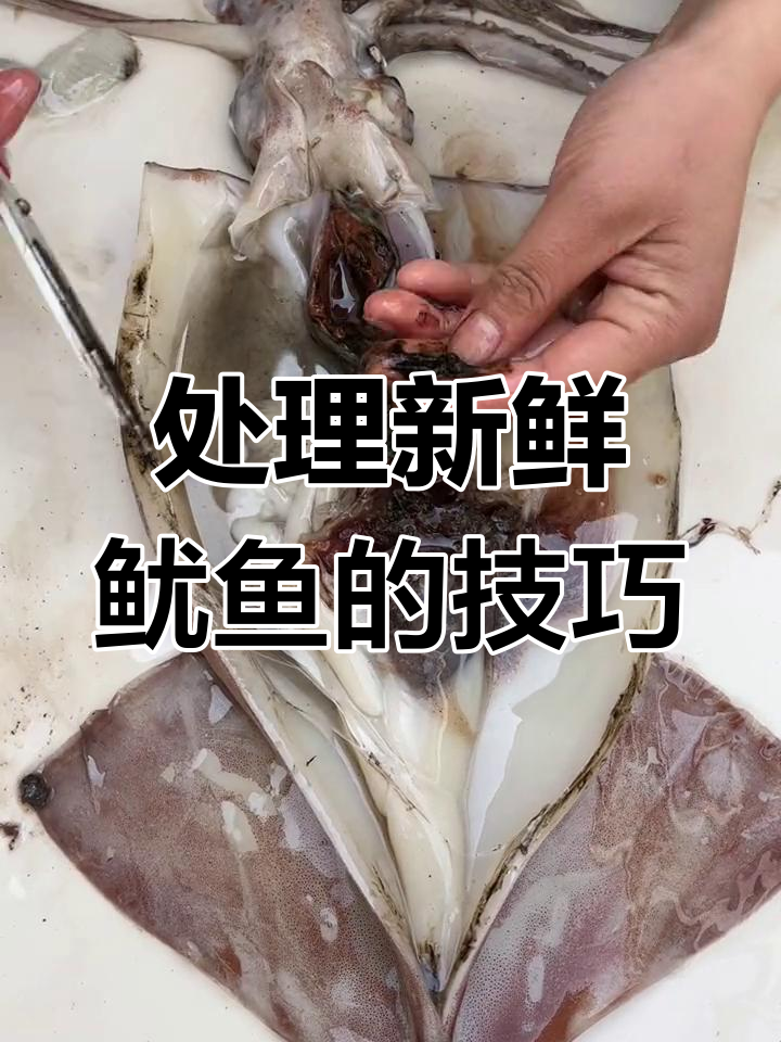 鱿鱼清理全攻略,去除内脏和墨囊