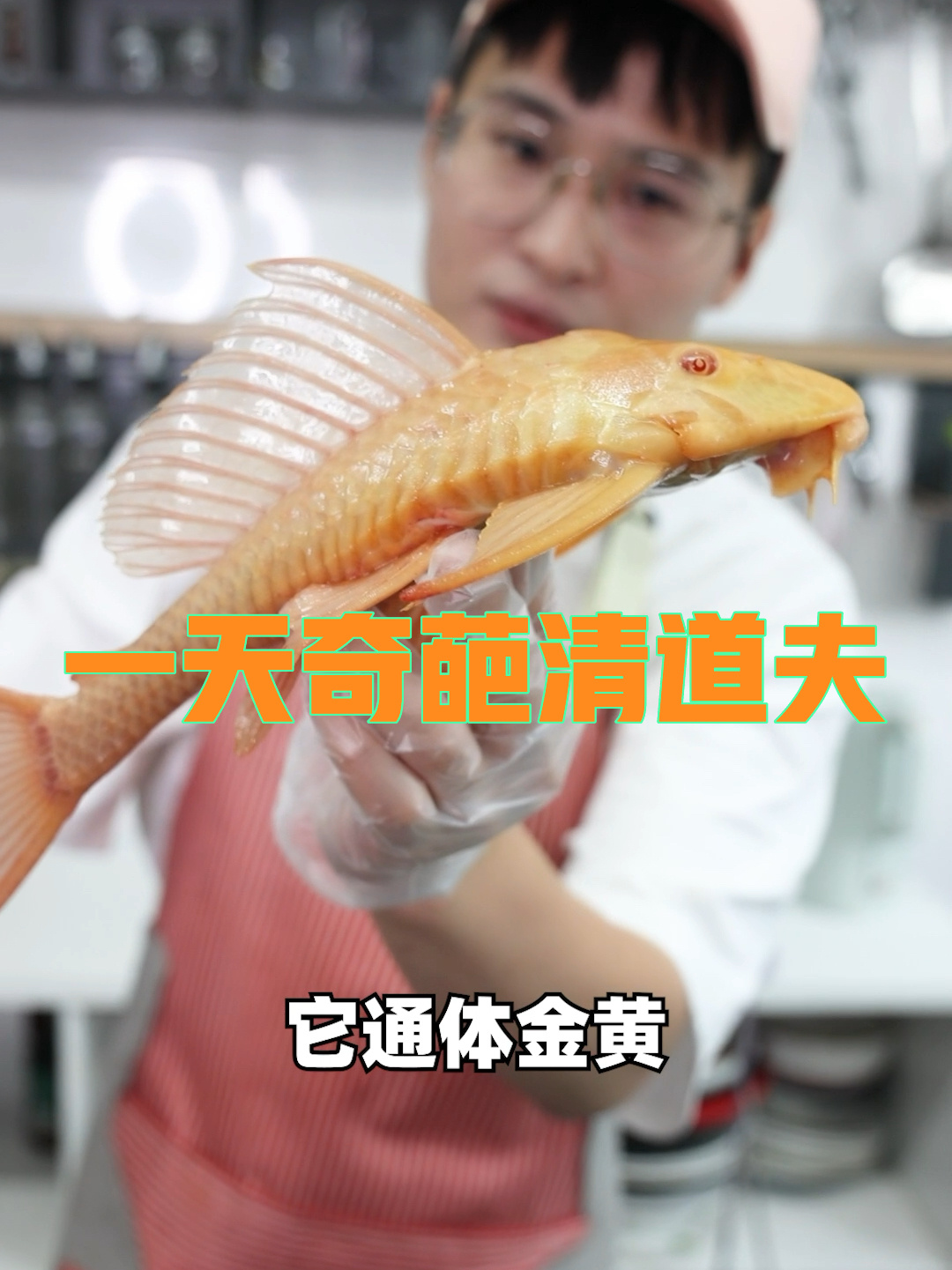 清道夫原来种类怎么多!看着好看吃起来却……