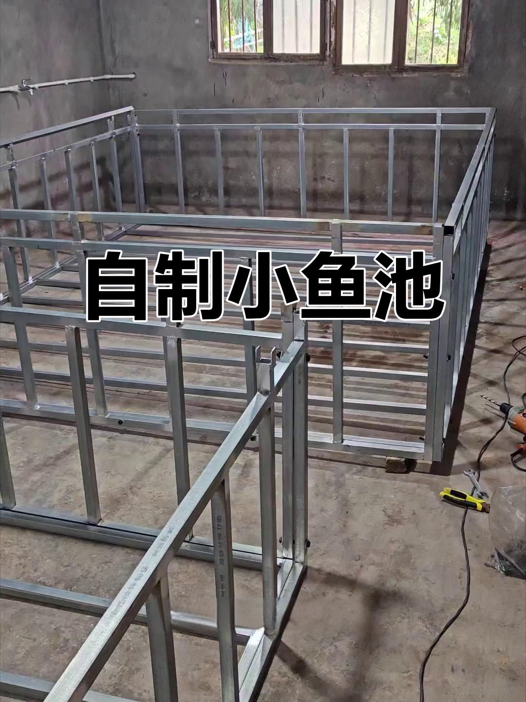 亲手打造小帆布鱼池,过滤系统也自己搞定,真不简单!